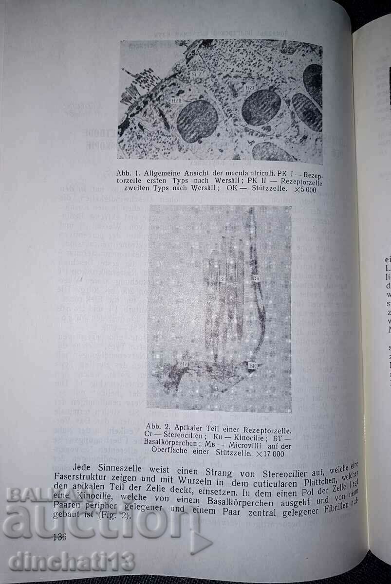 Reports of the Bulgarian Academy of Sciences. Comptes rendus de l’Académ - 6 Reports of the Bulgarian Academy of Sciences. Comptes rendus de l’Académ - 6