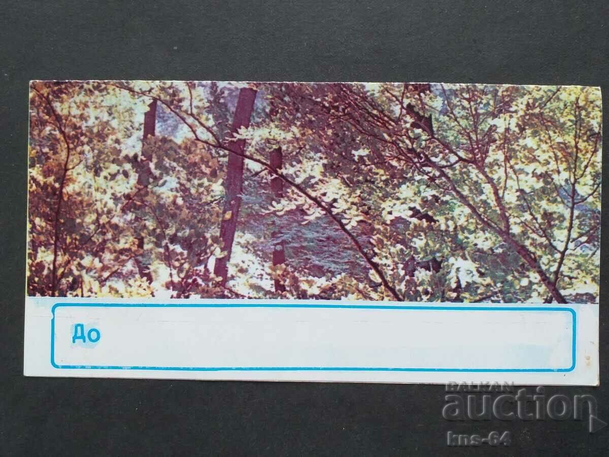 Congratulatory Double with price 1.20 BGN | € 0.61 Congratulatory Double with price 1.20 BGN | € 0.61