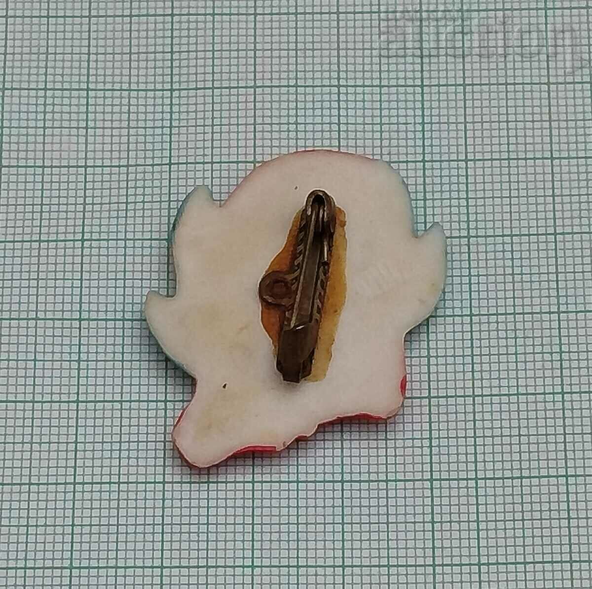 INSIGNĂ DE BUNICA BĂTRĂ PISOI cu preț 1.50 BGN | € 0.77