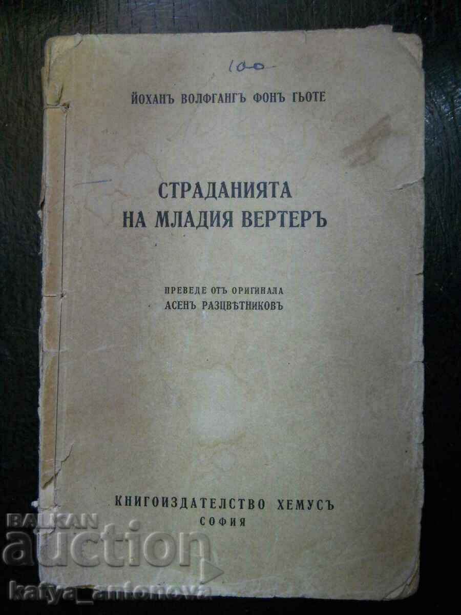 Γιόχαν Γκαίτε «Οι θλίψεις του νεαρού Βέρθερ»