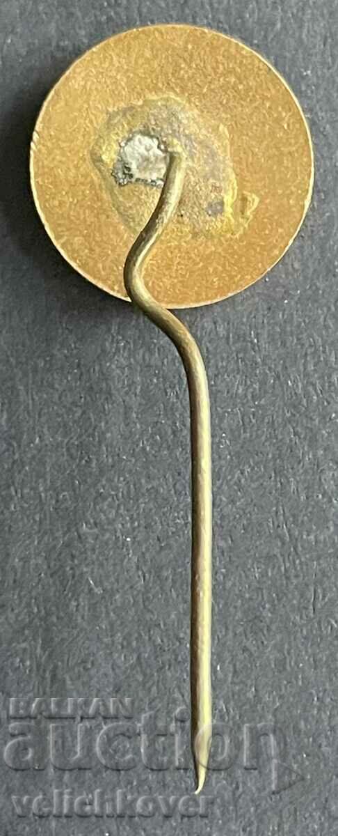 39141 Bulgaria sign DSO Rest Resprom enamel 60s. with price 5.00 BGN | € 2.56 39141 Bulgaria sign DSO Rest Resprom enamel 60s. with price 5.00 BGN | € 2.56