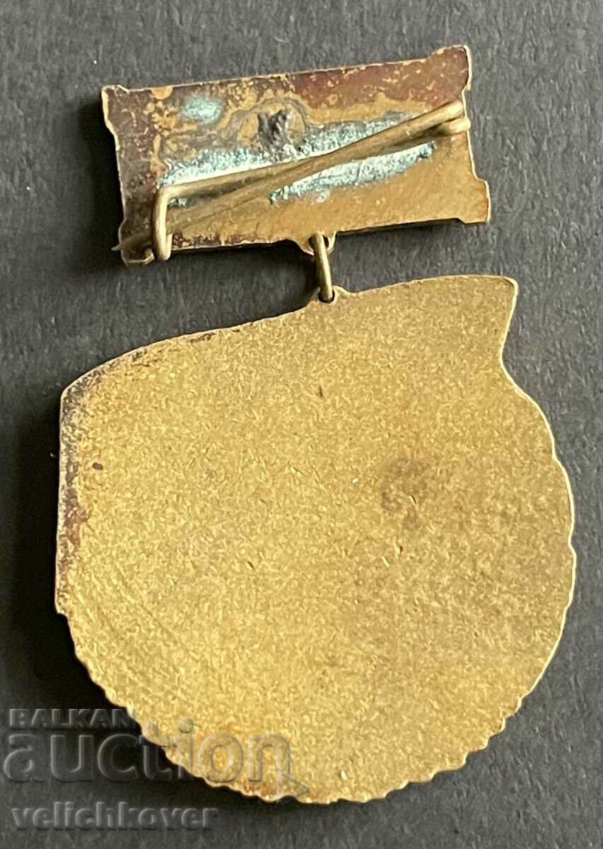 39160 Bulgaria sign DOSO Public Instructor email 1950s with price 5.00 BGN | € 2.56