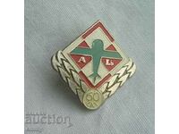 Badge Poland - 60 years of aviation