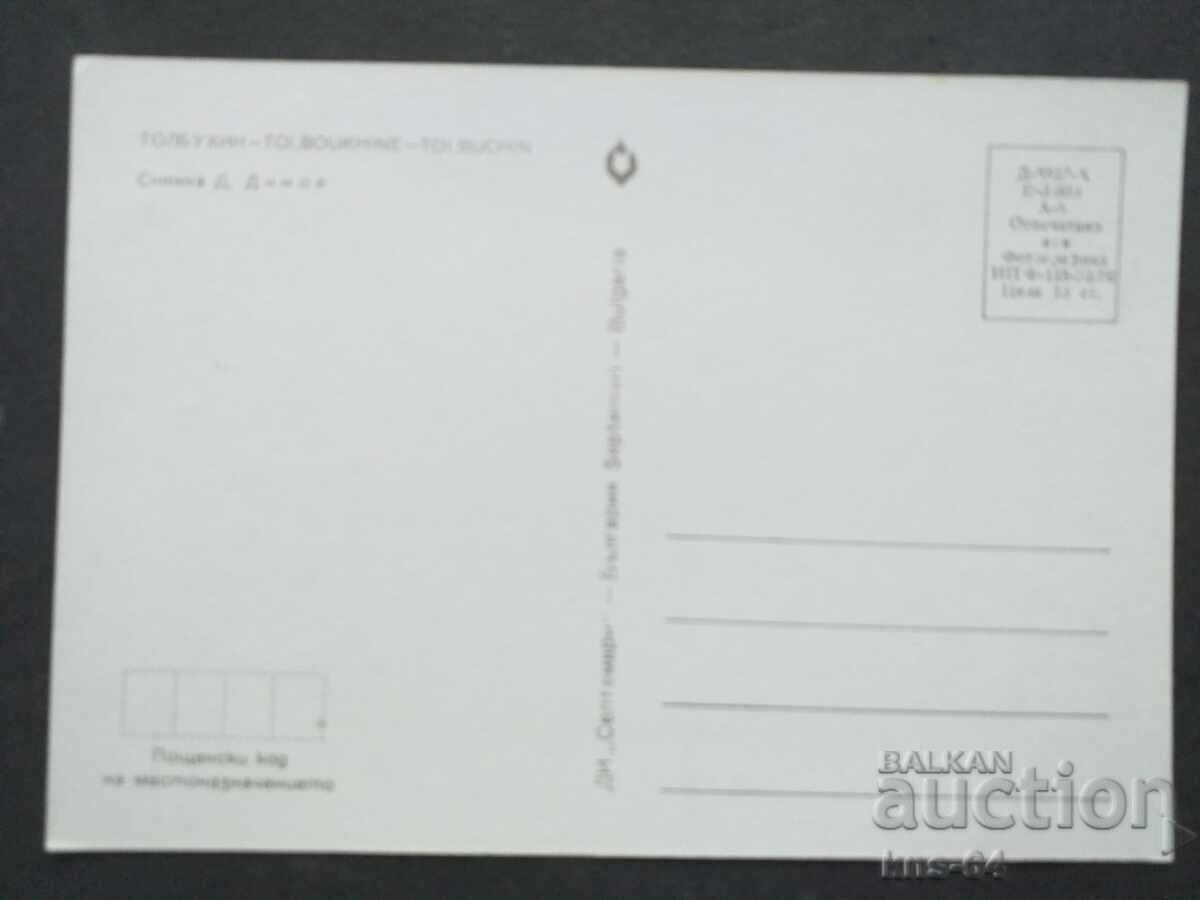 Tolbukhin with price 0.95 BGN | € 0.49 Tolbukhin with price 0.95 BGN | € 0.49