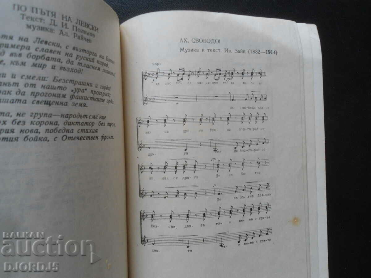 Σημαιοφόρος της λαϊκής επανάστασης - 6 Σημαιοφόρος της λαϊκής επανάστασης - 6