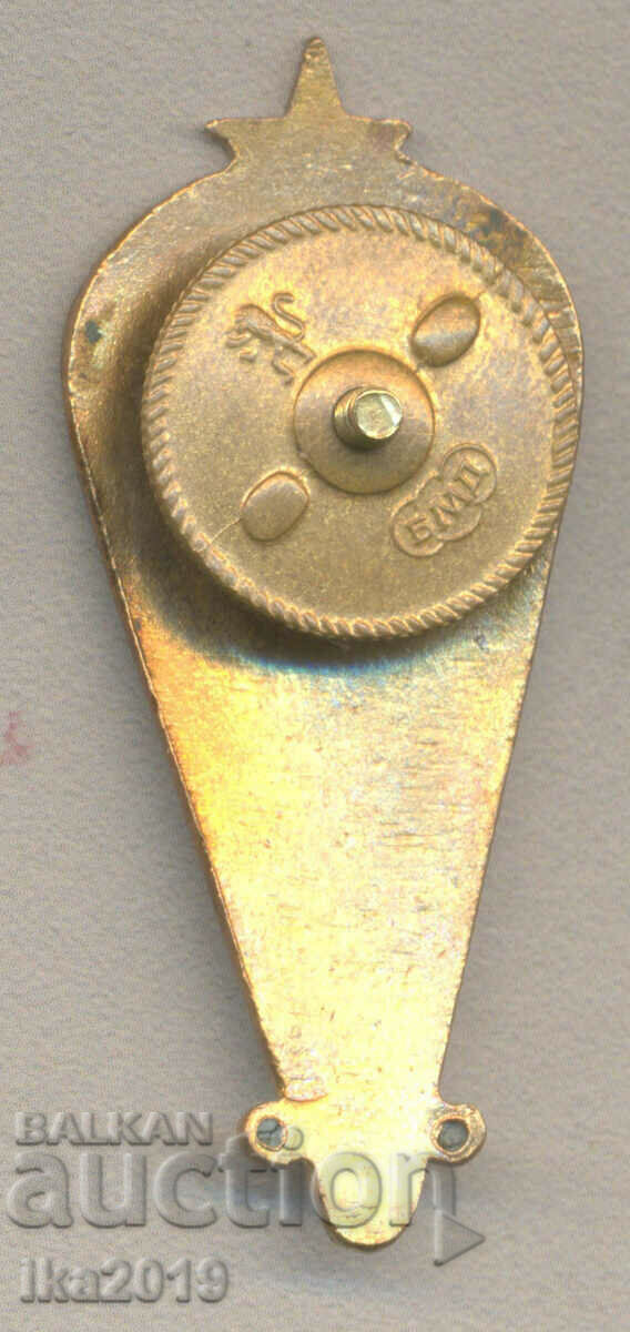 Rare award parachute INSTRUCTOR badge on screw enamel with price 777.00 BGN | € 397.27