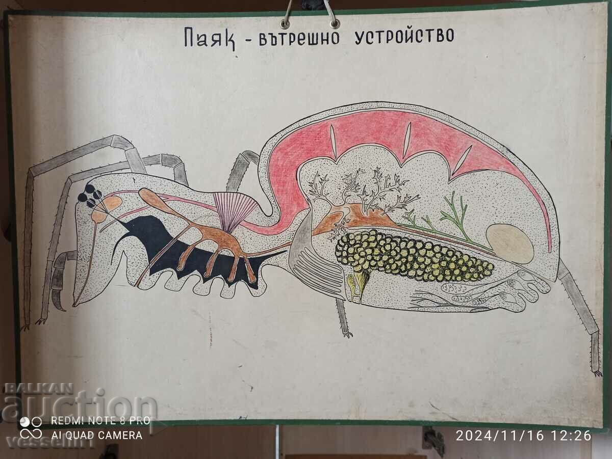 Old blackboard study board spider internal device Old blackboard study board spider internal device