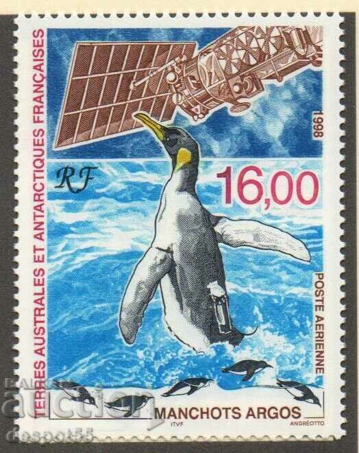 1998. TAAF-Franţa. Aer mail - cercetare pinguin.