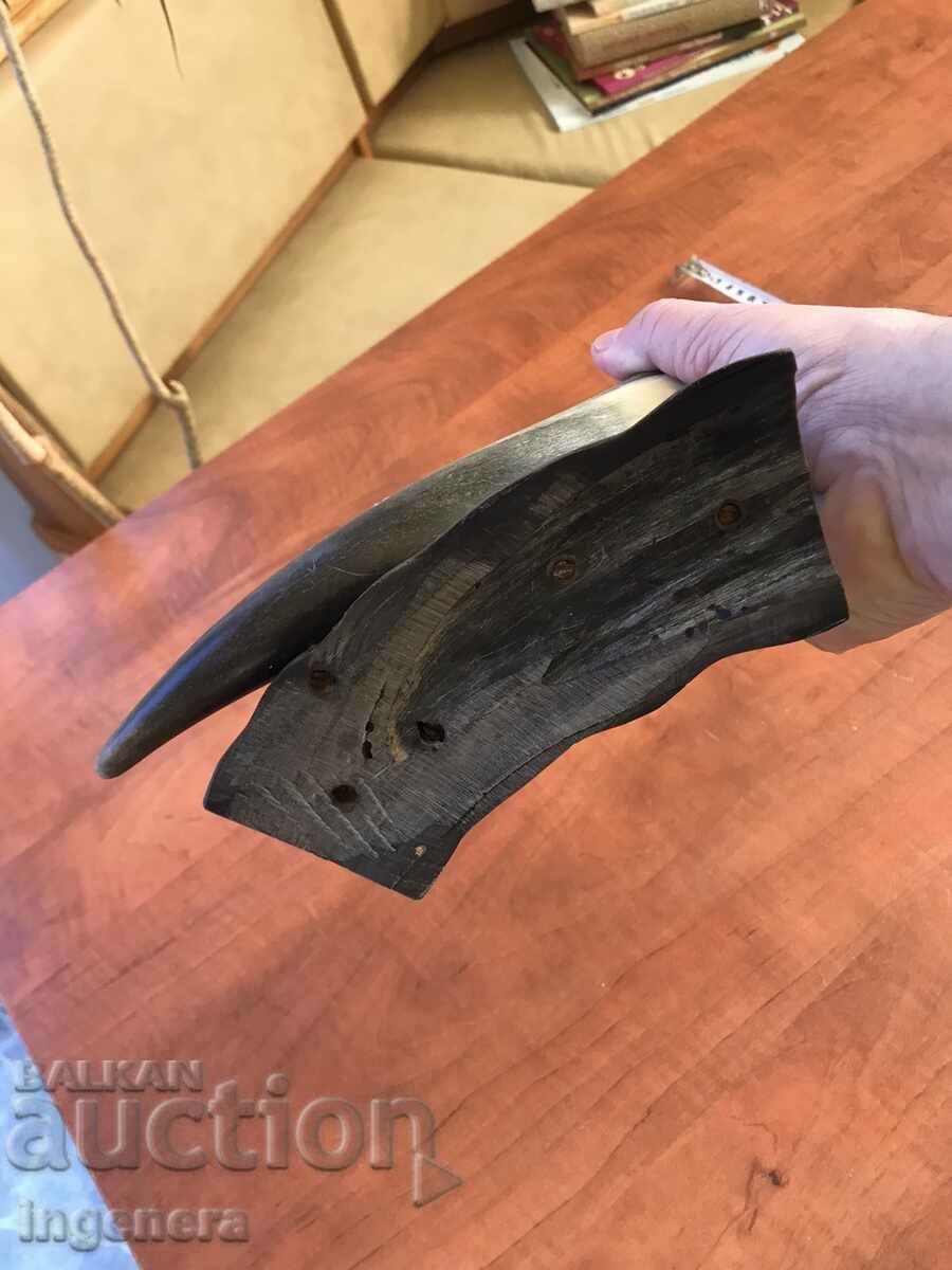 Livrarea SUPPORT SUP CUTIE CREION corn corn