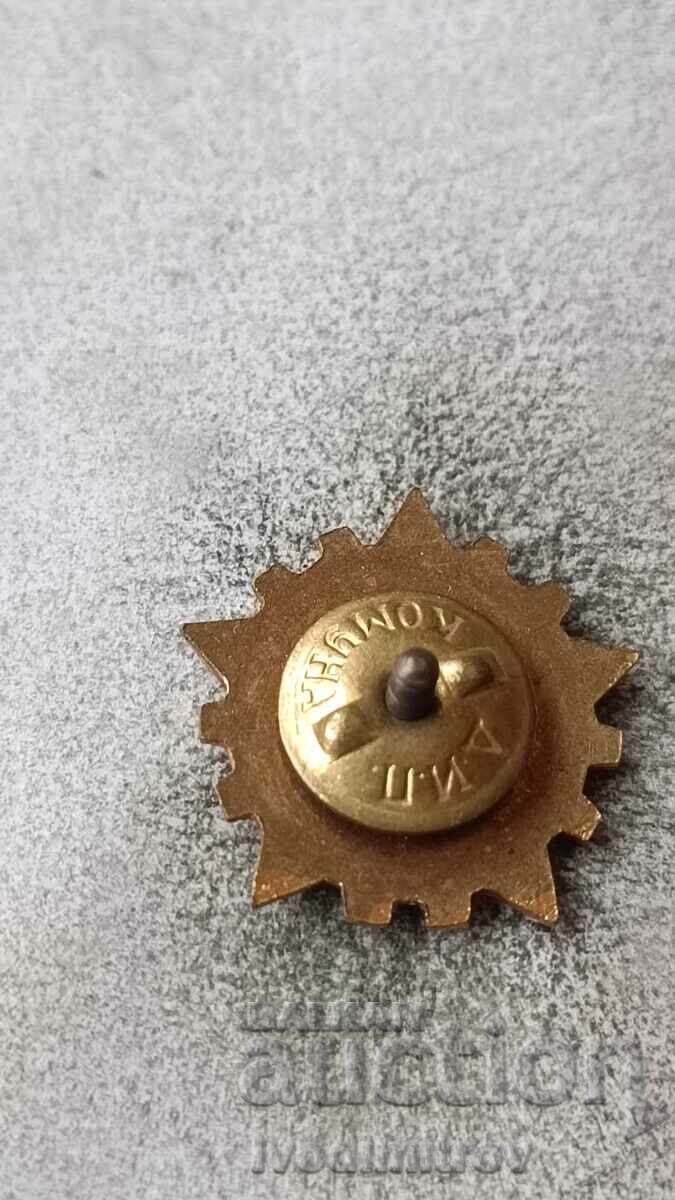 Industry Excellence Badge with price 8.85 BGN | € 4.52 Industry Excellence Badge with price 8.85 BGN | € 4.52