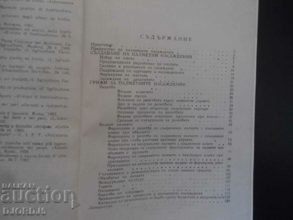 Auction Palm groves, P. Mitov Auction Palm groves, P. Mitov