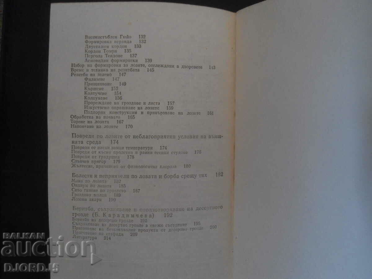 Παράδοση Παραγωγή επιδορπίων σταφυλιών