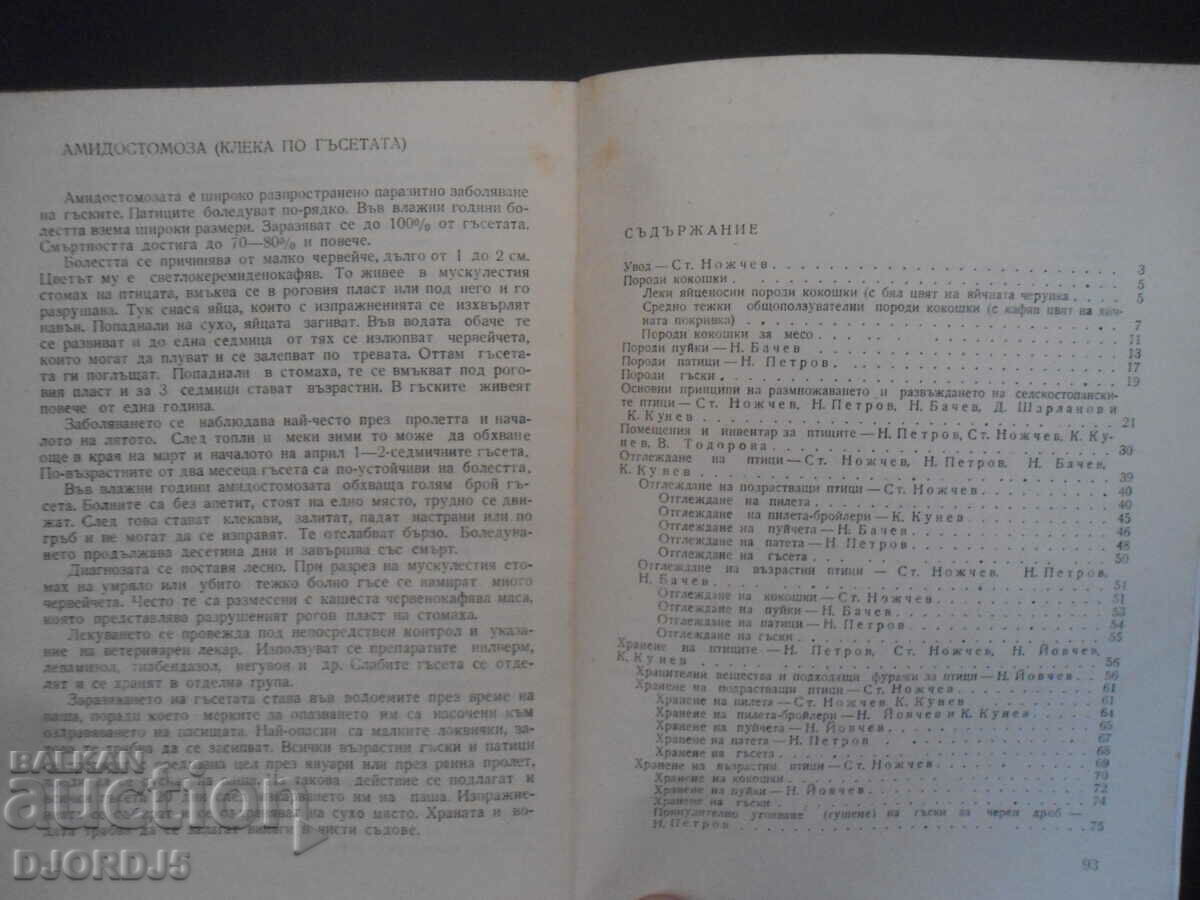 Auction Breeding of farm birds on the private farm Auction Breeding of farm birds on the private farm
