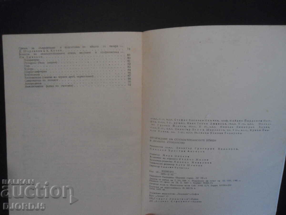 Delivery of Breeding of farm birds on the private farm Delivery of Breeding of farm birds on the private farm