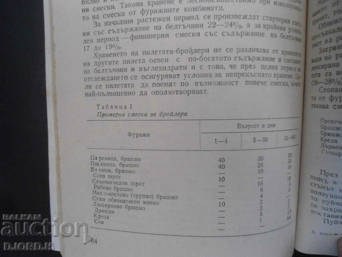 Breeding of farm birds on the private farm - 5 Breeding of farm birds on the private farm - 5