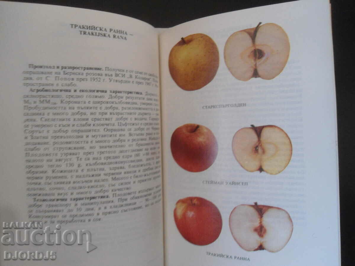 A little pomology, Seed fruit species - 6 A little pomology, Seed fruit species - 6