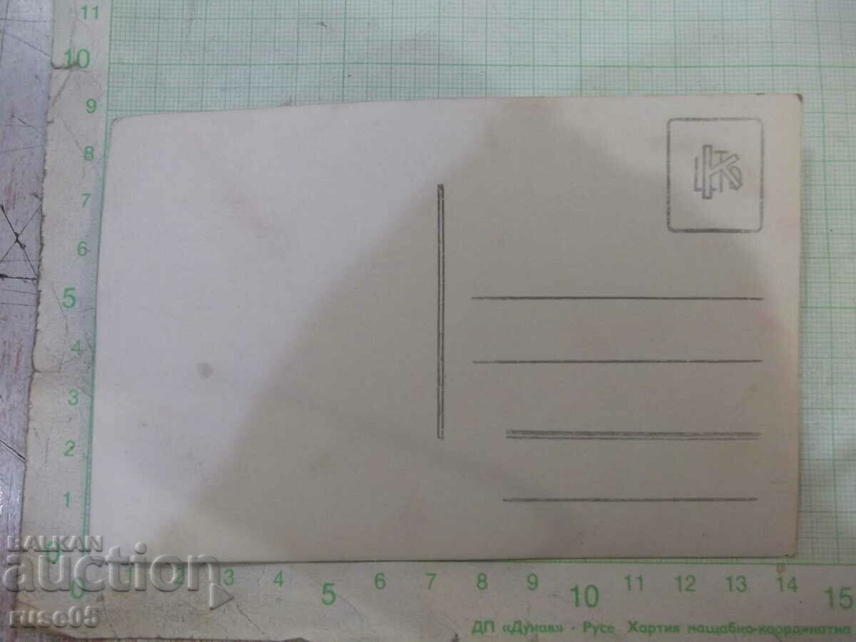 Old photo of three women in the garden - 1 with price 3.00 BGN | € 1.53 Old photo of three women in the garden - 1 with price 3.00 BGN | € 1.53