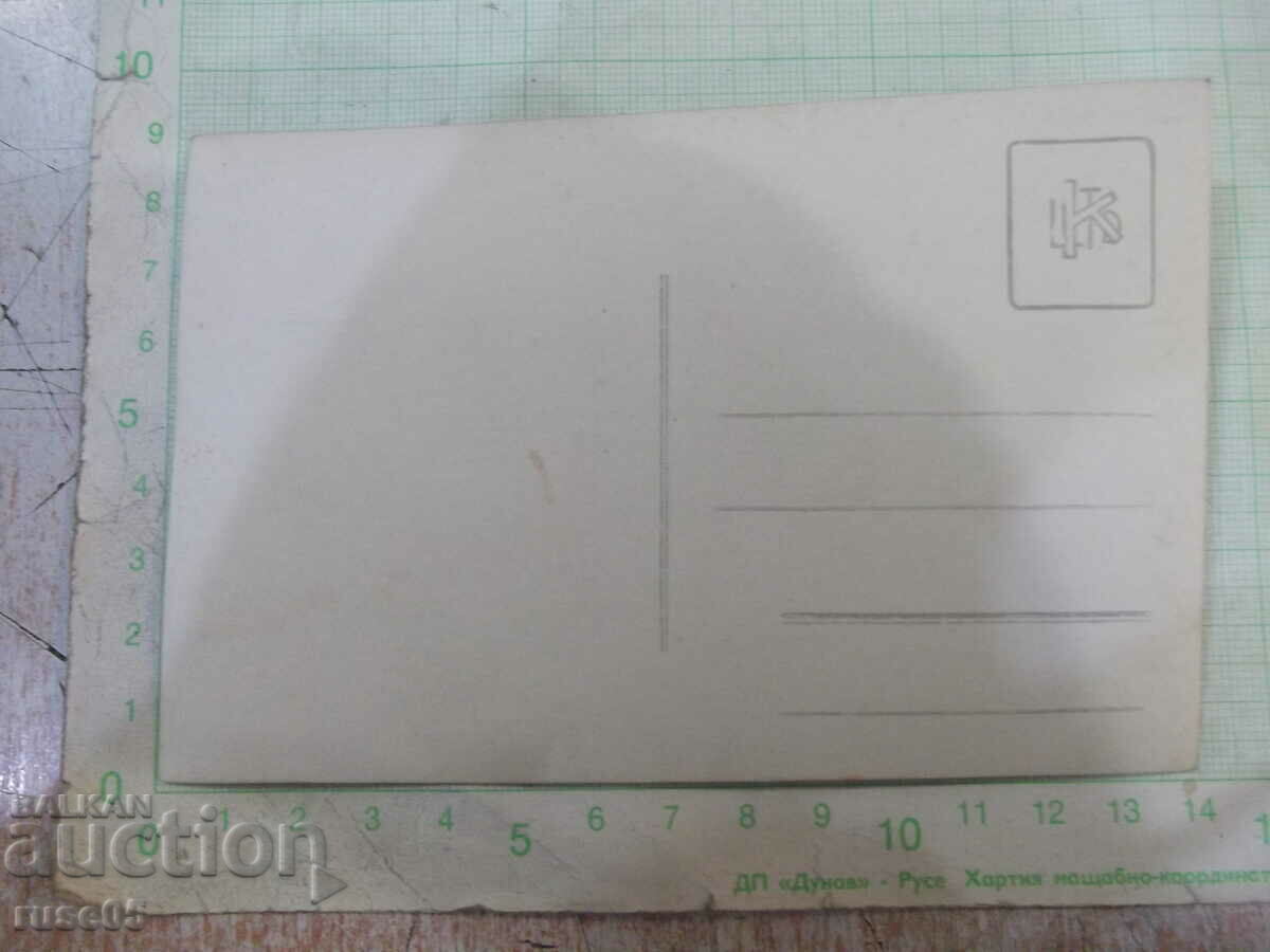 Old photo of an outing with a dog with price 5.00 BGN | € 2.56 Old photo of an outing with a dog with price 5.00 BGN | € 2.56