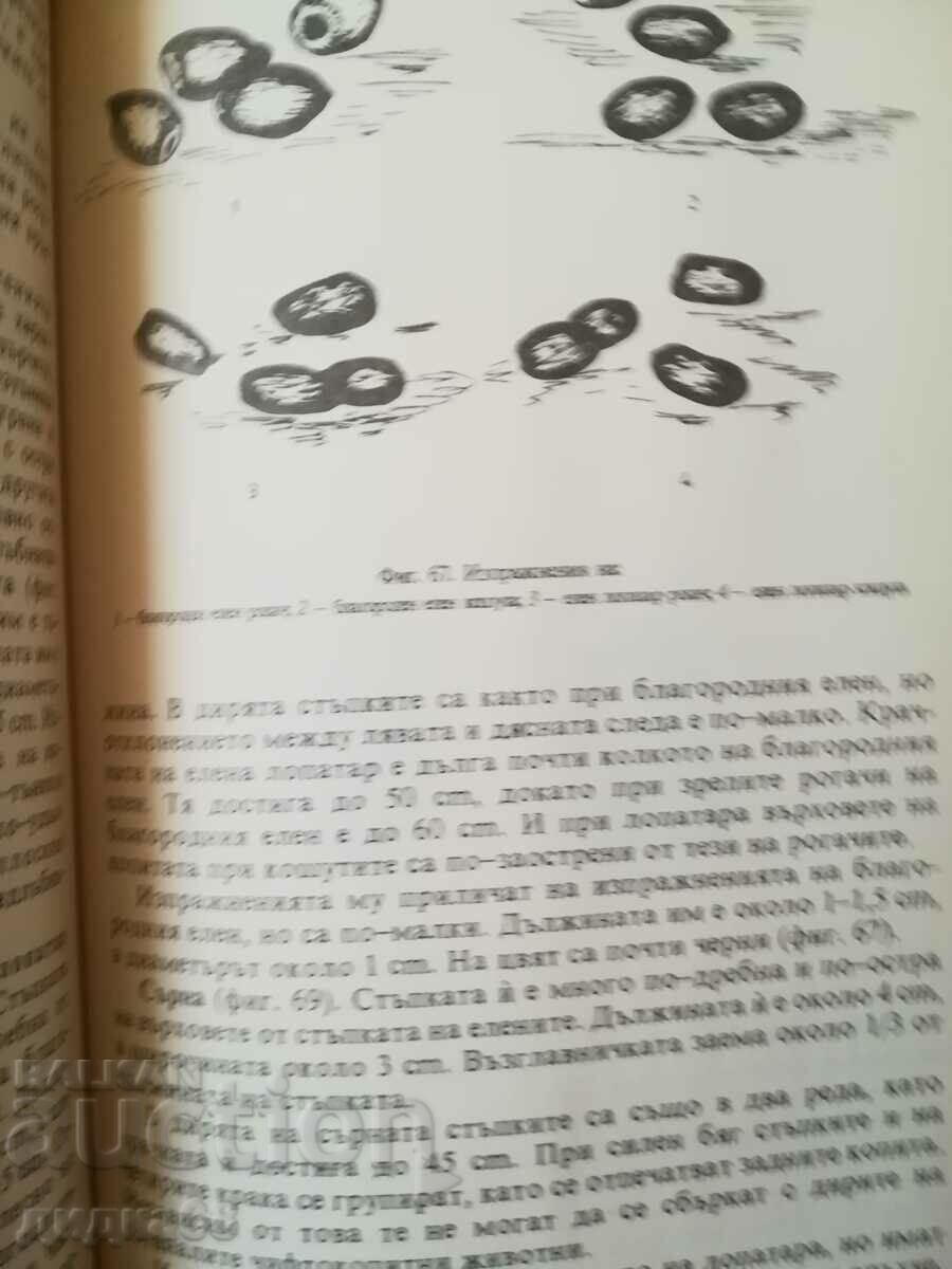 Vânătoarea, știința vânatului și piscicultură / Botev, Kolev - 6