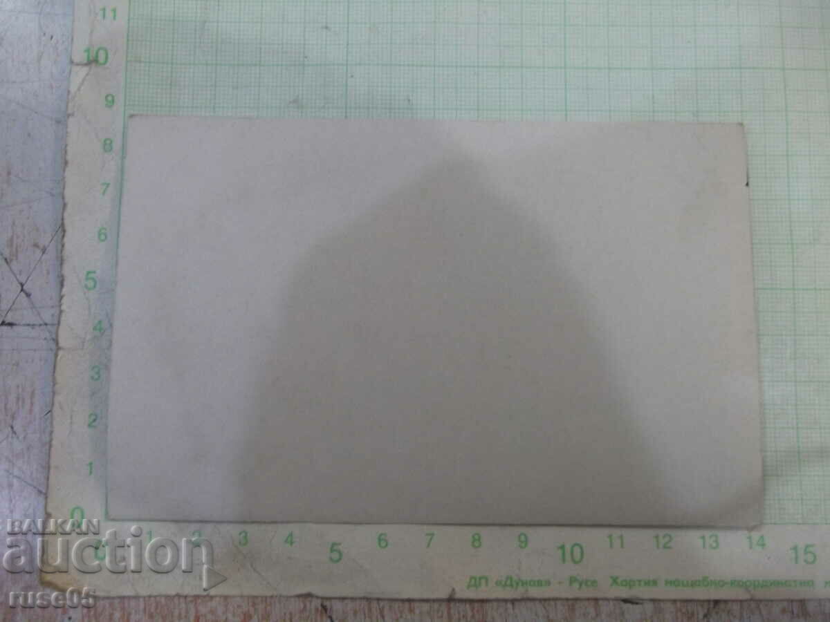 Old photo of a group in the garden with price 5.00 BGN | € 2.56 Old photo of a group in the garden with price 5.00 BGN | € 2.56