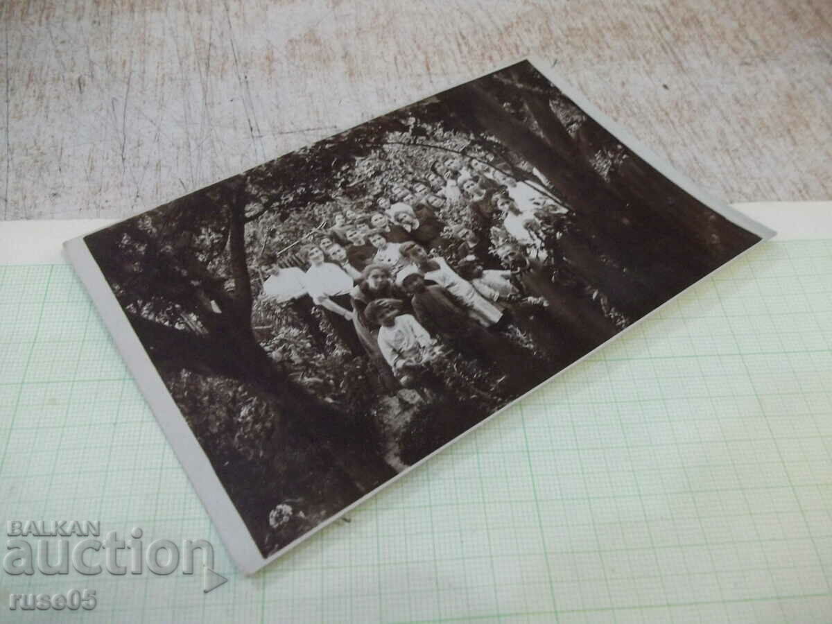 Auction Old photo of a group in the garden Auction Old photo of a group in the garden