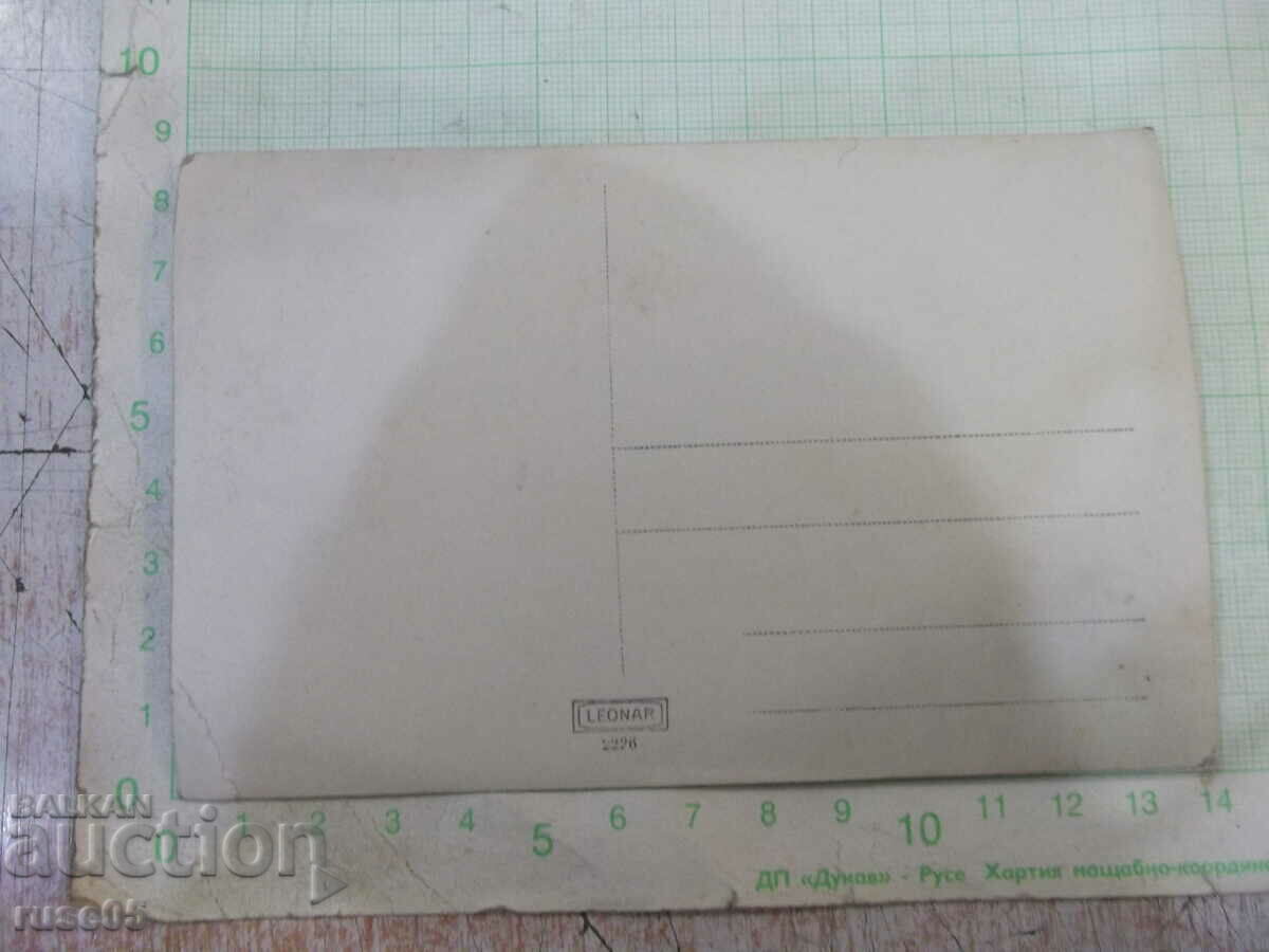 Old photo of a group sitting on the grass with price 5.00 BGN | € 2.56 Old photo of a group sitting on the grass with price 5.00 BGN | € 2.56