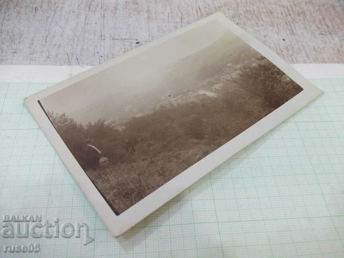 Delivery of Old photo by the forest above the city Delivery of Old photo by the forest above the city