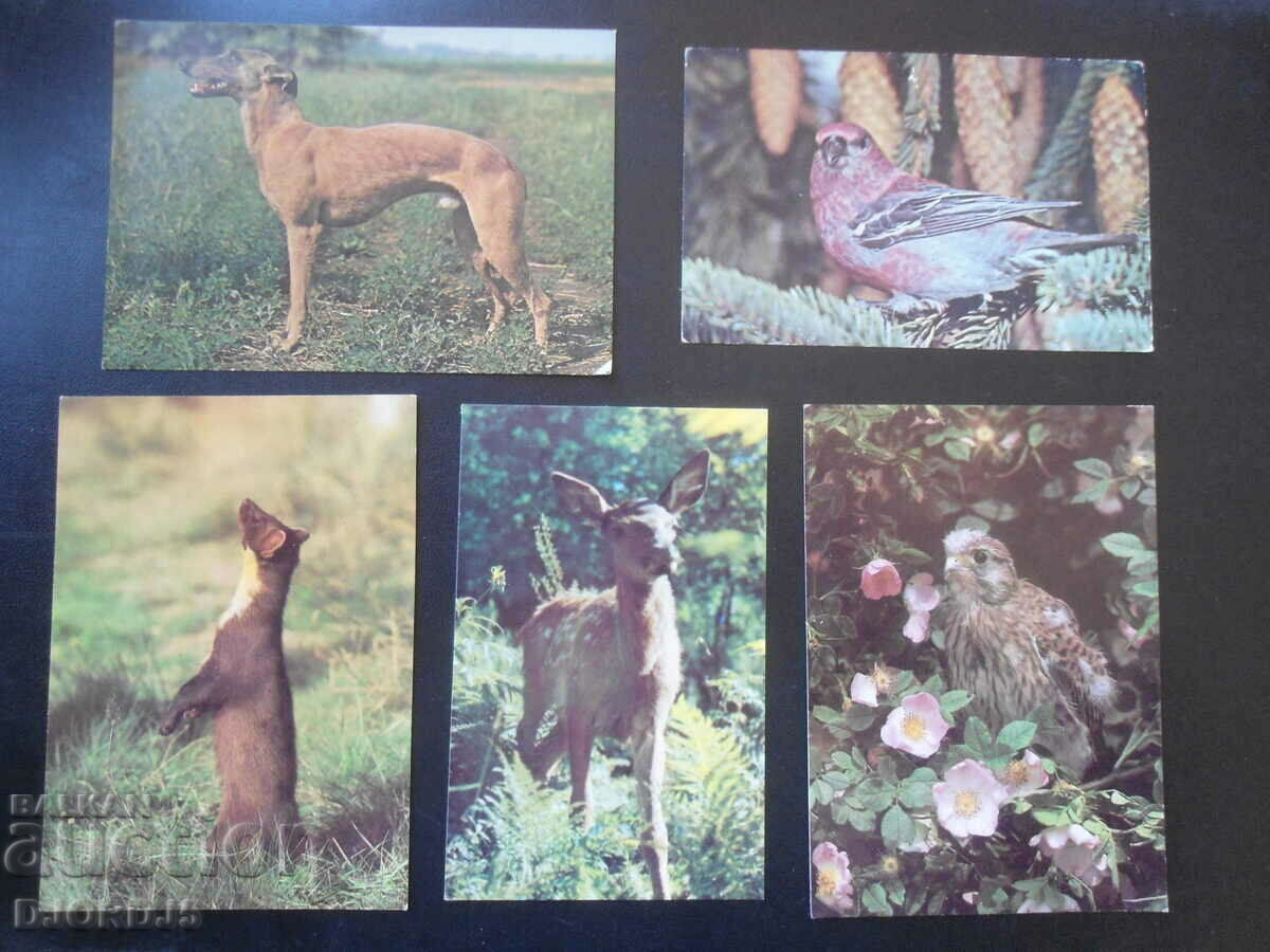 Old Russian cards, 15 pieces with price 5.00 BGN | € 2.56 Old Russian cards, 15 pieces with price 5.00 BGN | € 2.56