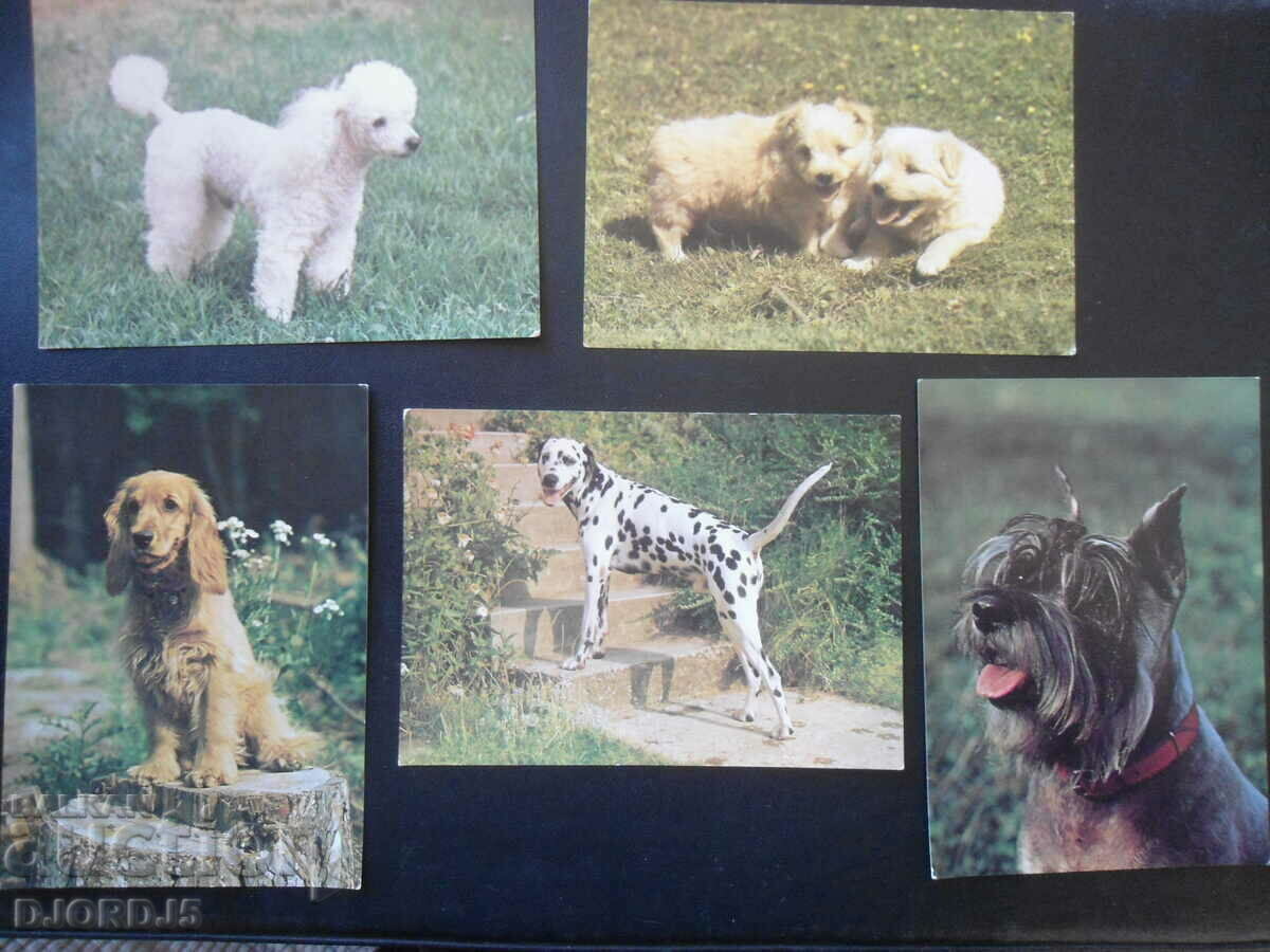 Auction Old Russian cards, 15 pieces Auction Old Russian cards, 15 pieces