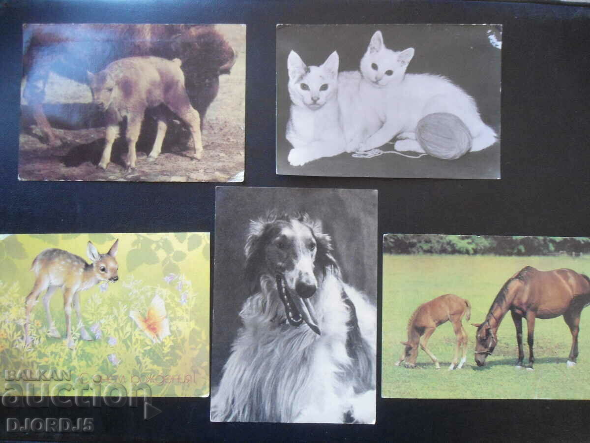 Delivery of Old Russian cards, 15 pieces Delivery of Old Russian cards, 15 pieces