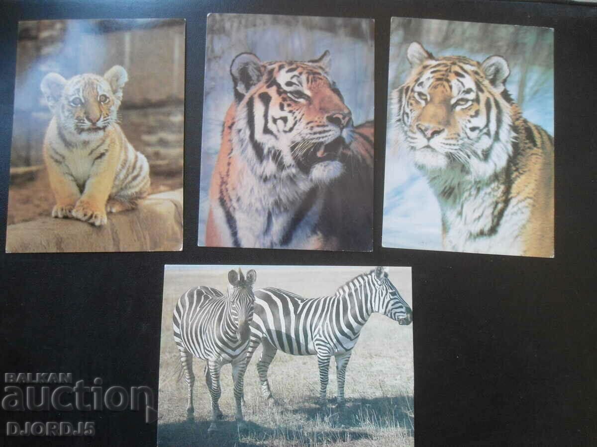 Old Russian cards, 14 pieces with price 4.00 BGN | € 2.05 Old Russian cards, 14 pieces with price 4.00 BGN | € 2.05