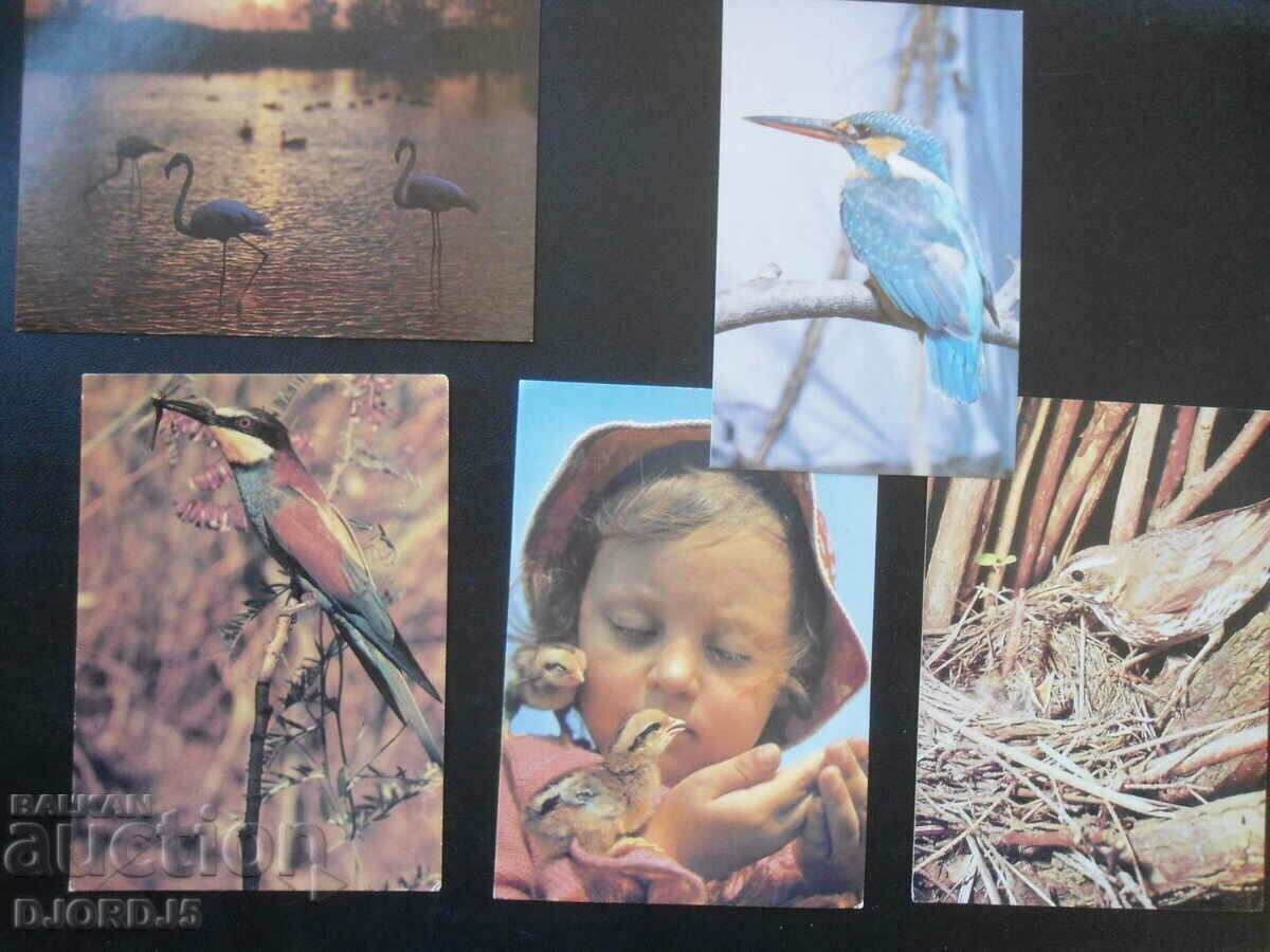 Auction Old Russian cards, 14 pieces Auction Old Russian cards, 14 pieces