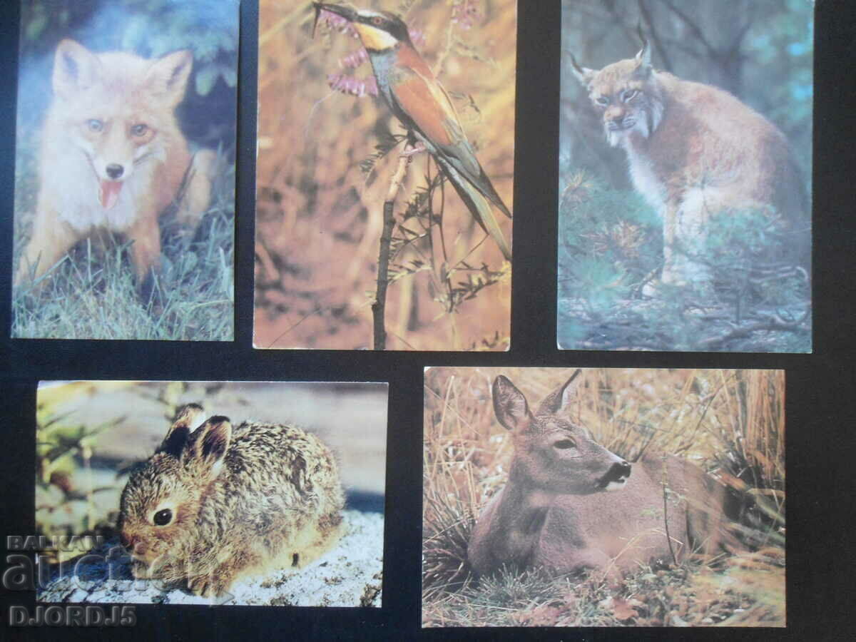 Delivery of Old Russian cards, 14 pieces Delivery of Old Russian cards, 14 pieces