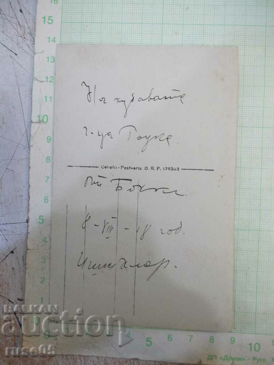 Auction Old photo of two women in front of bushes Auction Old photo of two women in front of bushes