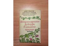 ЯГОДОПЛОДНИТЕ КУЛТУРИ В НАШАТА ГРАДИНА