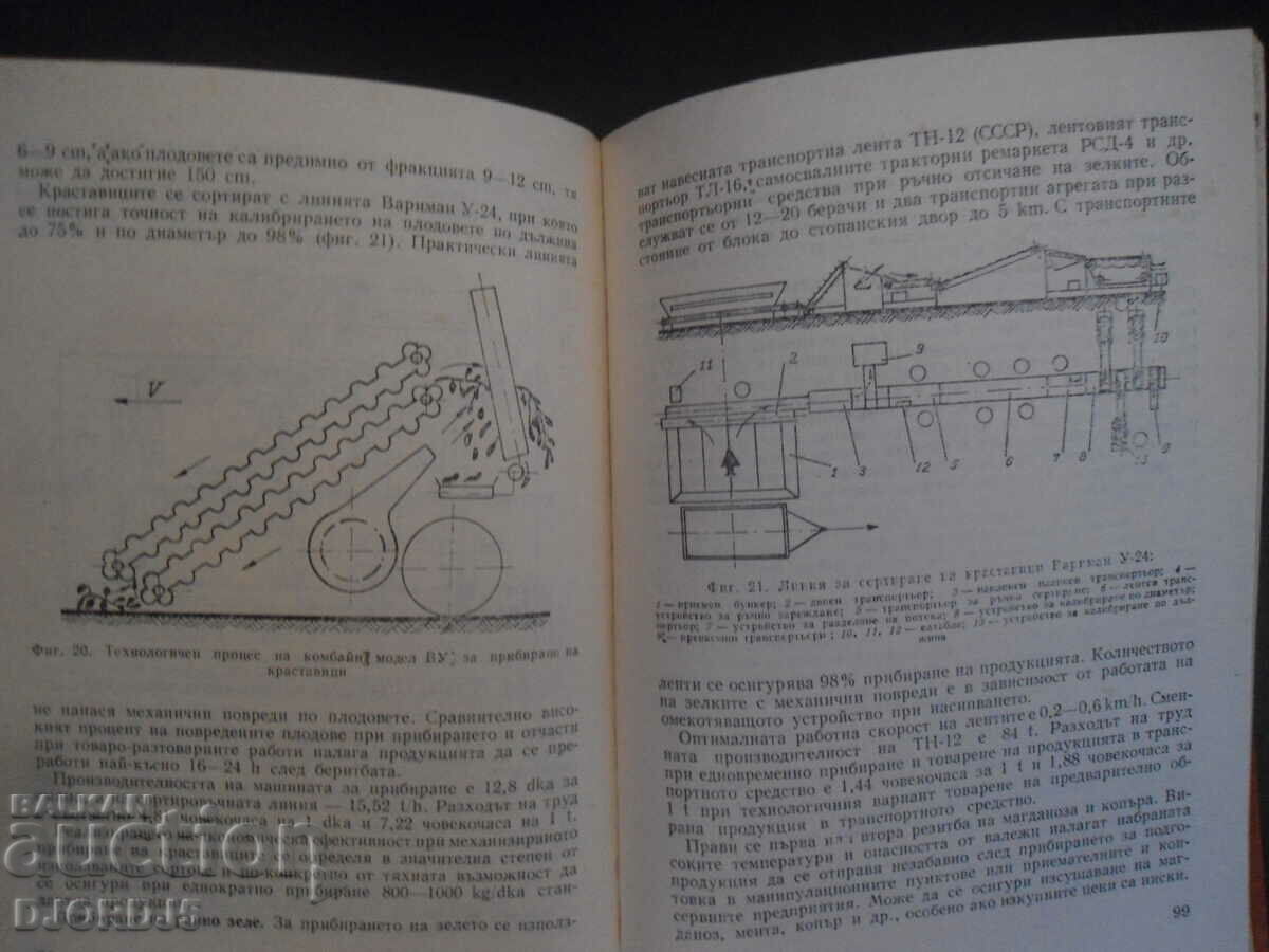 Calendar for the vegetable grower - 6 Calendar for the vegetable grower - 6