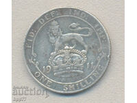 Silver coin 9