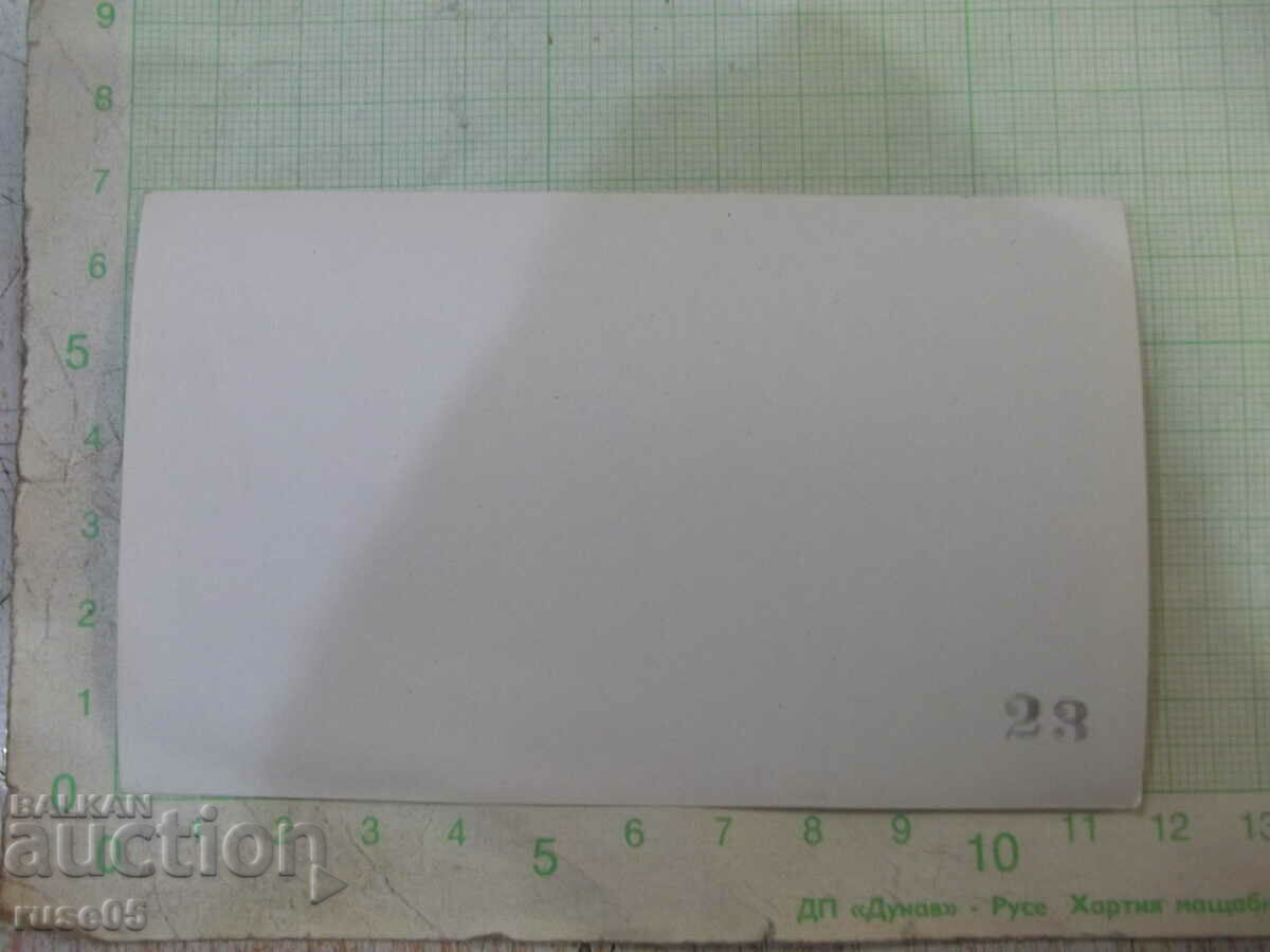 Old photo of three women in the orchard with price 3.00 BGN | € 1.53 Old photo of three women in the orchard with price 3.00 BGN | € 1.53