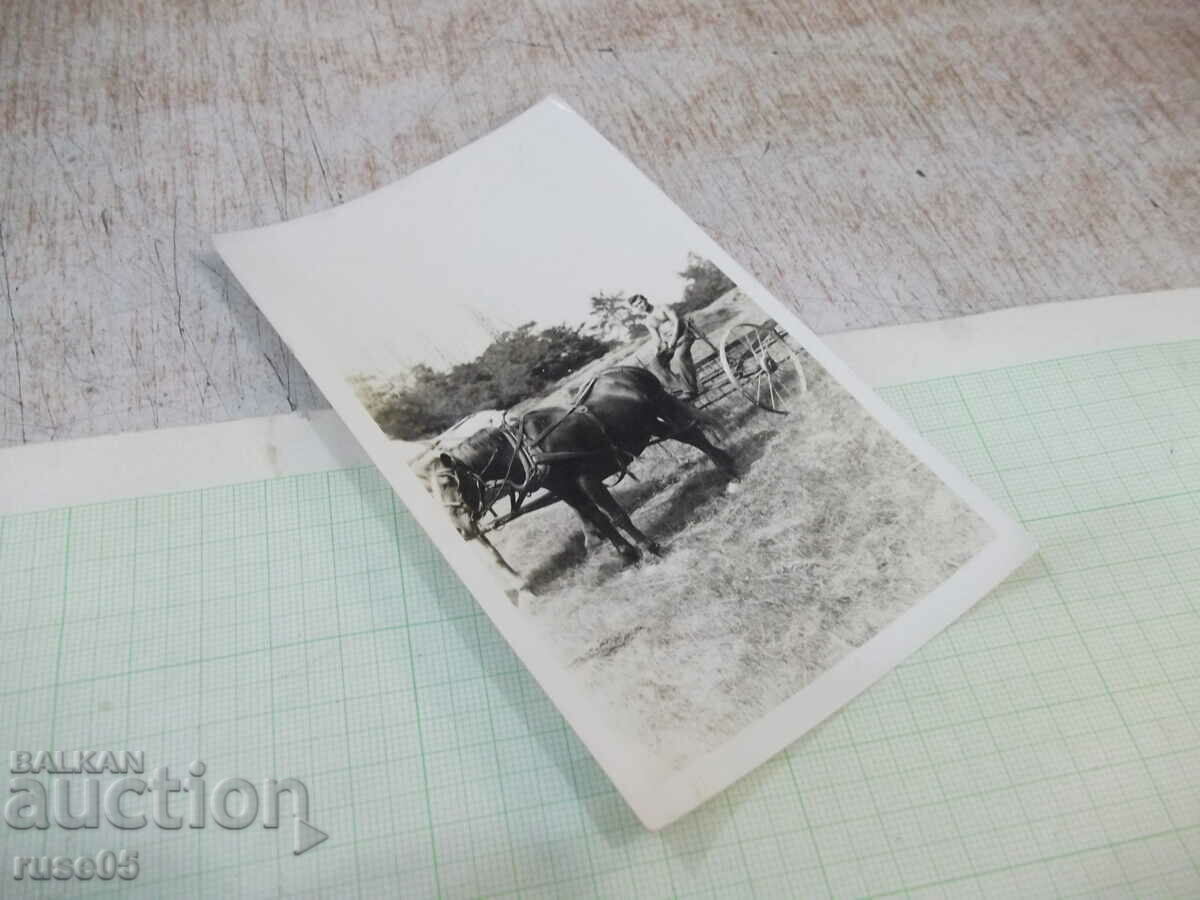 Auction  Old photo of a man on a country road. horse drawn machine