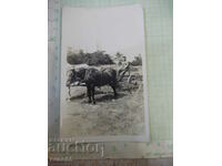 Old photo of a man on a country road. horse drawn machine