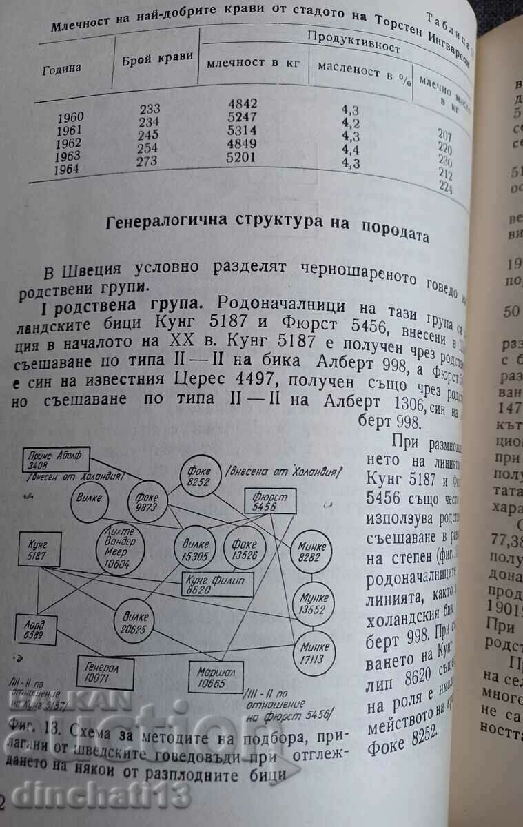 Black colored cattle and methods for its improvement: M. Lebedev - 7 Black colored cattle and methods for its improvement: M. Lebedev - 7
