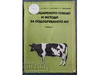 Μαύρα βοοειδή και μέθοδοι βελτίωσής του: M. Lebedev