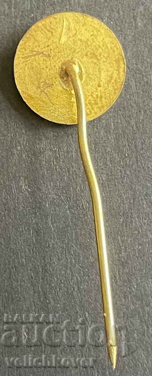 39176 Bulgaria sign Wool Textile Factory Sofia 1981 with price 3.00 BGN | € 1.53 39176 Bulgaria sign Wool Textile Factory Sofia 1981 with price 3.00 BGN | € 1.53