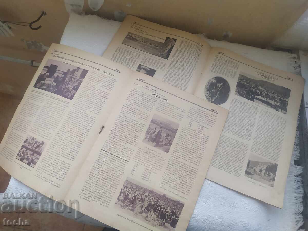 Αποκόμματα Χριστιανής 1948, Νίβα 1930/31 - 5