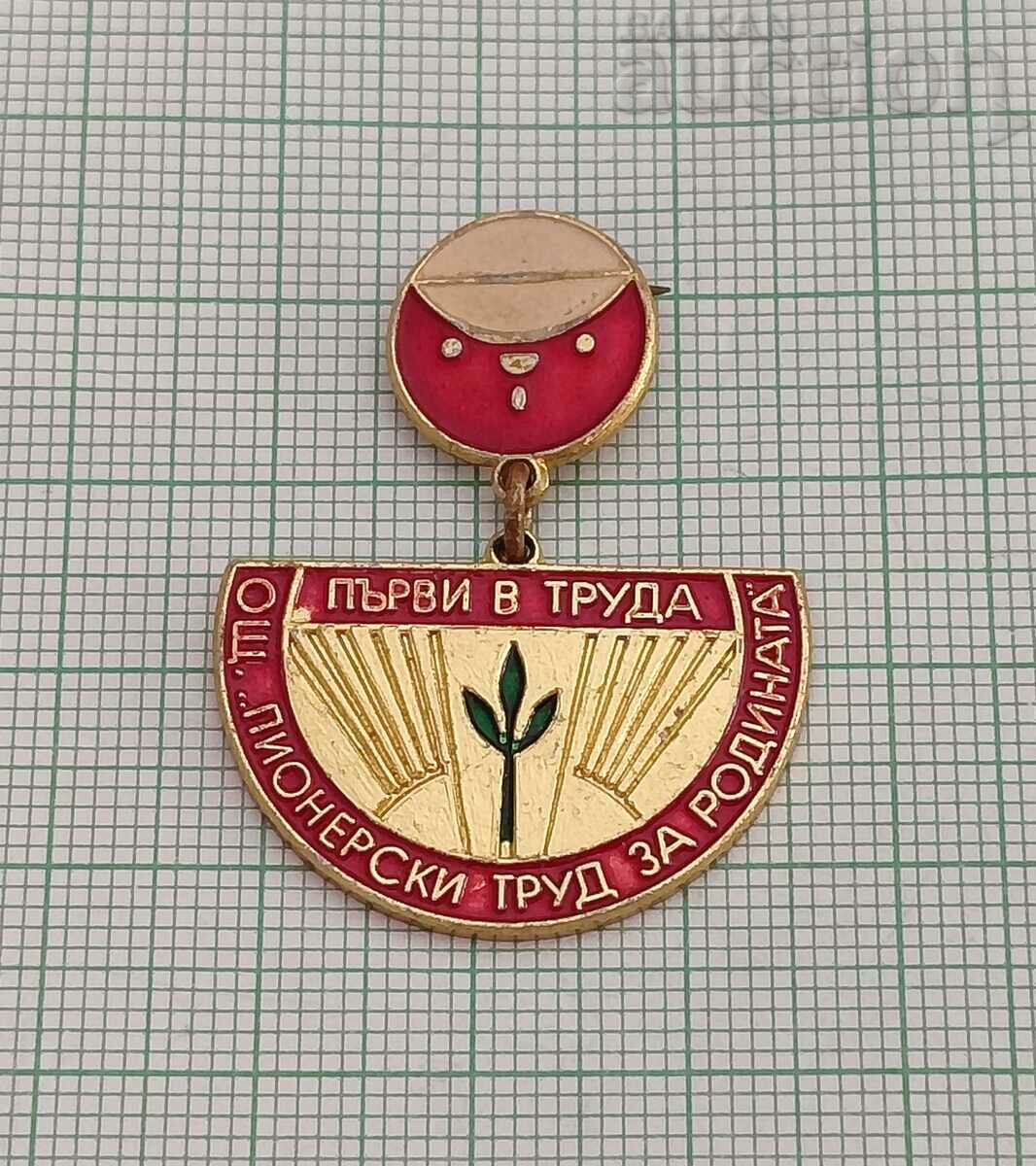 PIONEER WORK FOR THE MOTHERLAND BADGE 197..