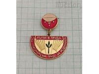 PIONEER WORK FOR THE MOTHERLAND BADGE 197..