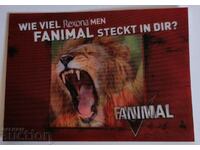 cast STEREO ADVERTISING CARD PC