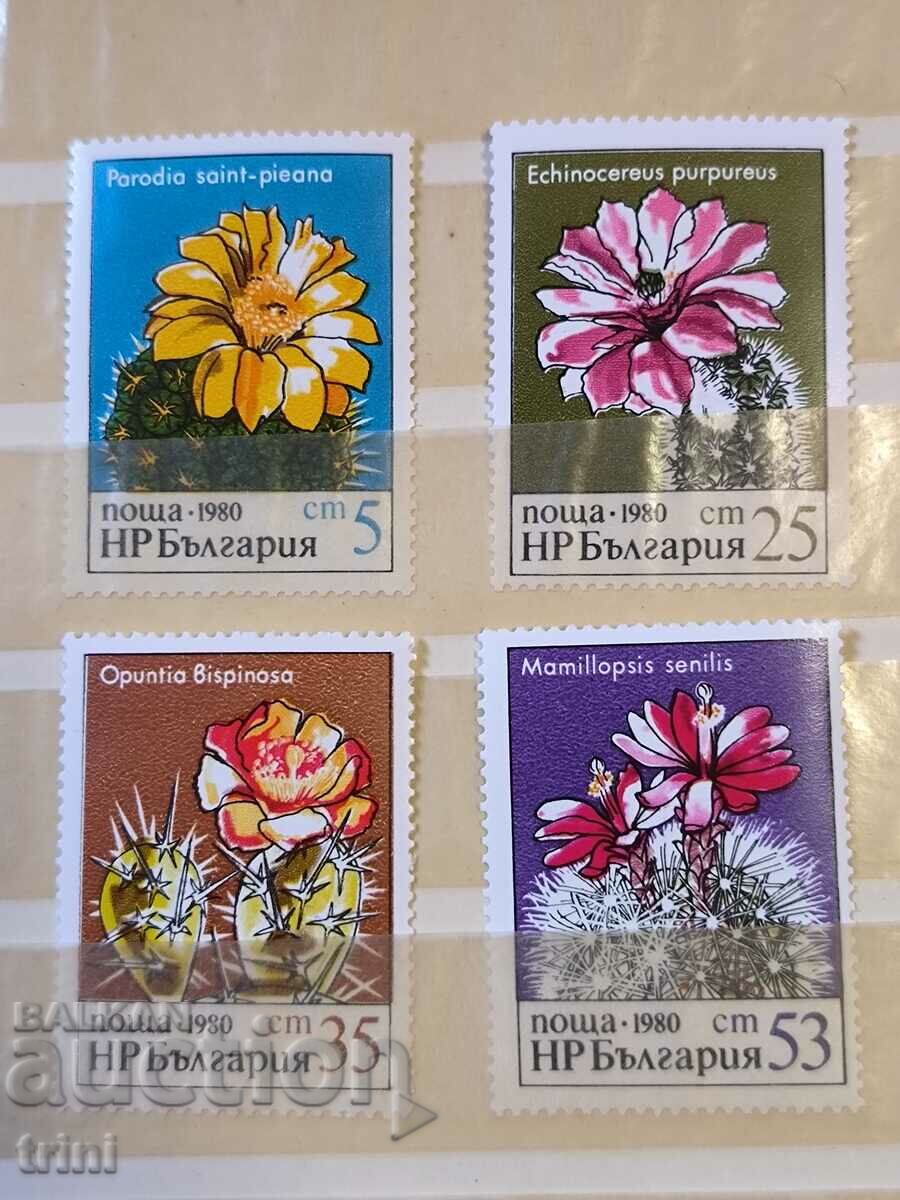 Bulgaria 1980 flora cactusi