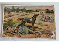 .1917 OLD POSTCARD WWI DOG