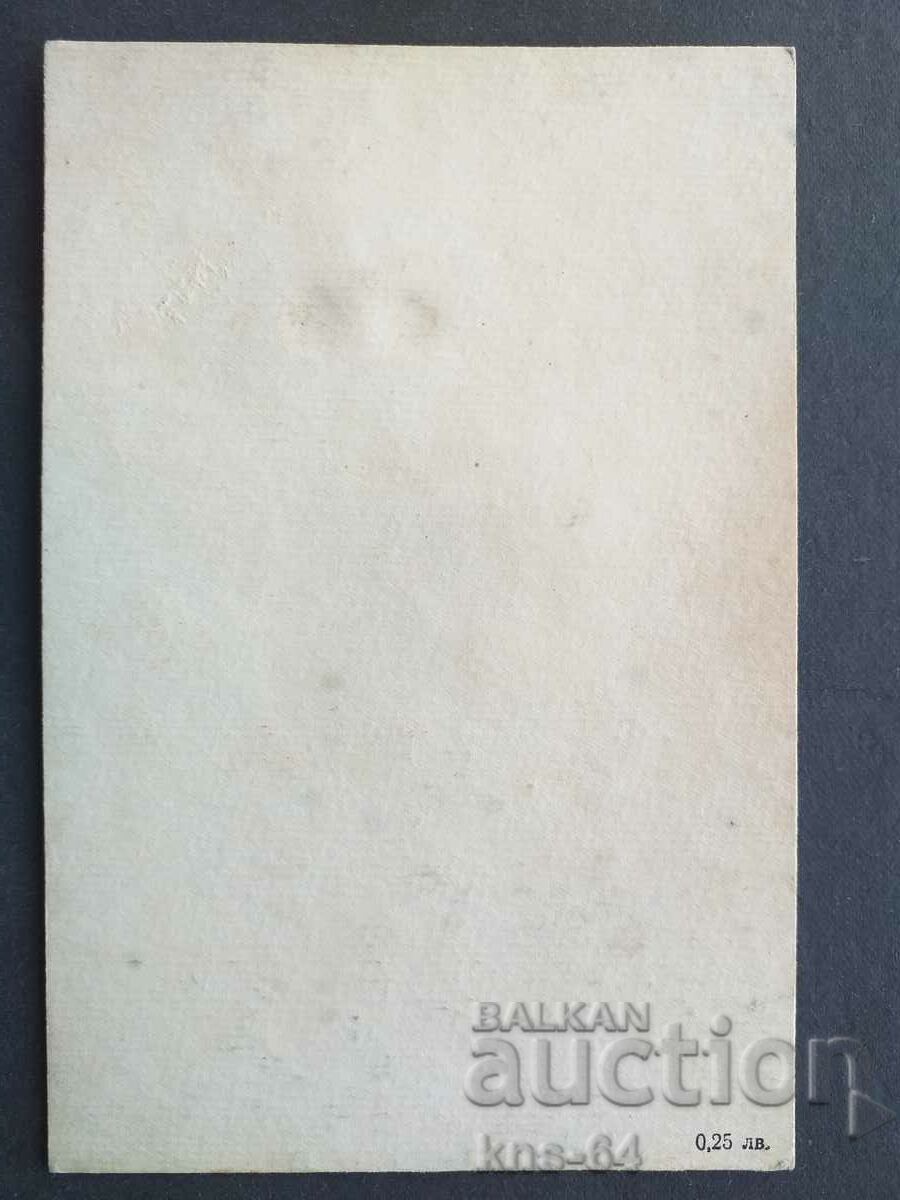 Congratulatory with price 1.50 BGN | € 0.77